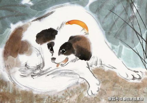一、属鼠的女神——细腻的福星