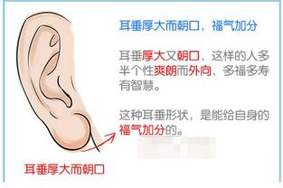 耳垂：福禄财库的象征