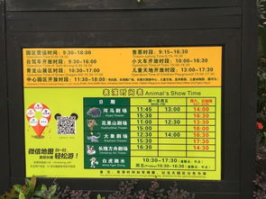 二、 亲子套票与单独购票对比