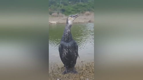 一、抵达前的奇怪期待