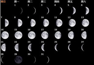 1.1 月相与阴阳——天体自带磁场，磁场自带好运？（噪声警告）