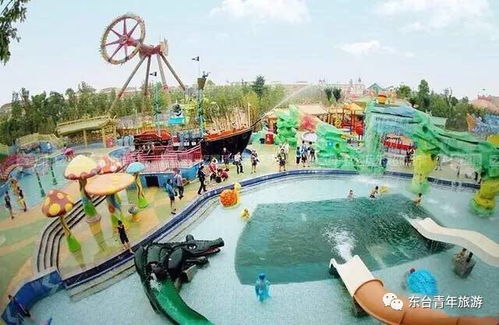 夜场比白天香100倍！2026年这些乐园夜场玩法曝光