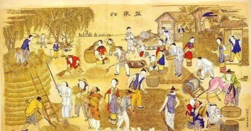 “满族填仓节：丰收祈愿，传承传统，爆款节日！”