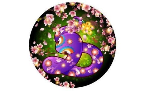 2019年属蛇人的全年运势如何？