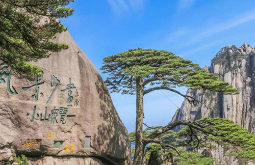 迎客松背后：轩辕炼丹遗址现状