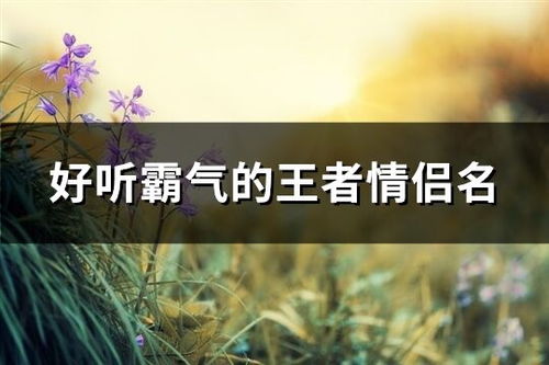 经典霸气情侣名字