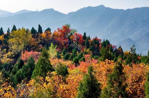 云蒙山：秋色斑斓 ，醉人如画