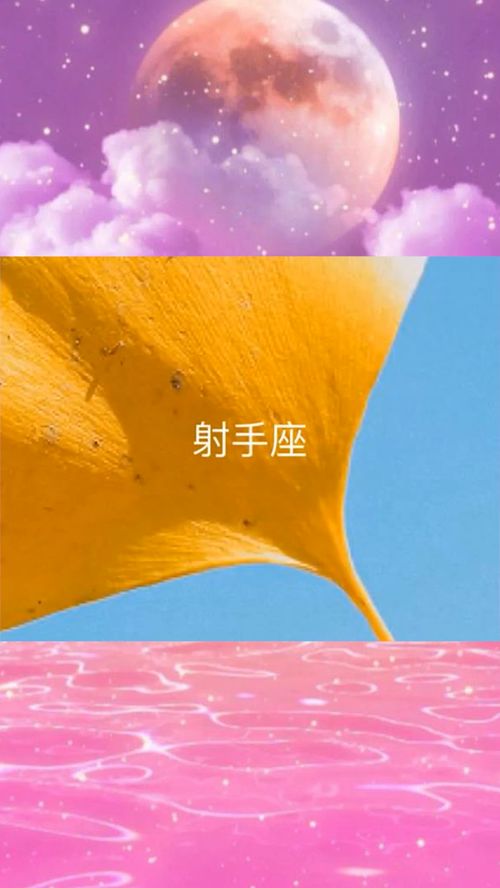 哪些星座情侣间谈恋爱像是在进行一场斗智斗勇的较量？