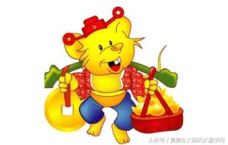 四大生肖对你的喜欢，止于了解后他们还会继续关注吗？