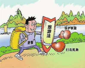 元江专线车大冒险：一场让你怀疑智商的奇幻漂流