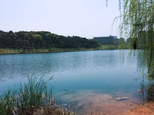湘潭自只是然——走进那些让你心跳加速的自然风景