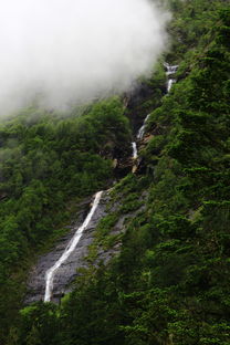 吐血整理！这些坑千万别踩！