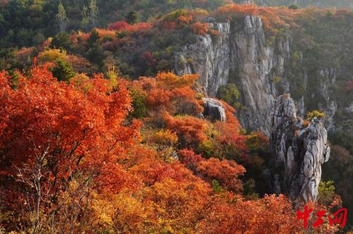 三、 秋色迷离——红叶与灰雾交错