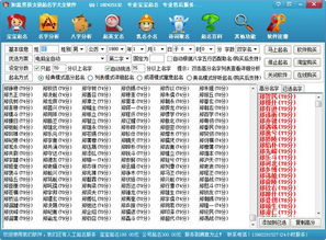 2. 属相+命理双沉重考量