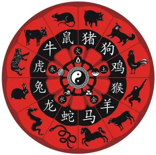 化解凶星作用于的方法