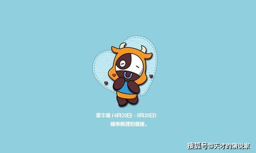 持家小能手的较量