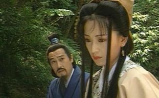 2. 背景坚硬得吓人：荆州第一家族的上流社会周边环境交际花