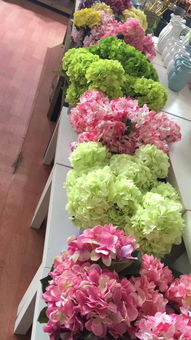 从茉莉花乡到现代化综合体：历史持续发展与今后的碰撞