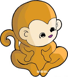属猴O型血的人性格特点有哪些？O型血男人性格特征是怎样的？