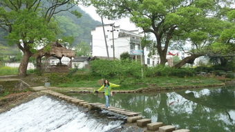 收拾行李时我的精神状态