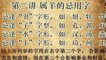 六、情绪化提议——从荒诞到真实实再回到荒诞！