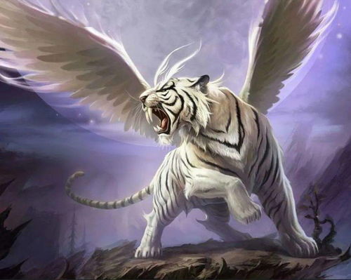 左右不是你想的那样！震惊！