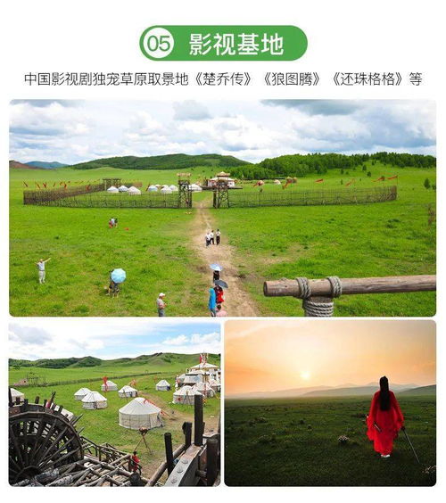 蒙古族待客：草原盛宴，尊贵体验，尽享豪情！