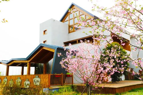 一、 乱七八糟的开场白——天津春天的胡乱呼喊