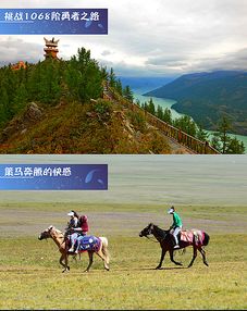 惯与禾木村的小马