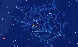 宇宙级迷惑行为大赏