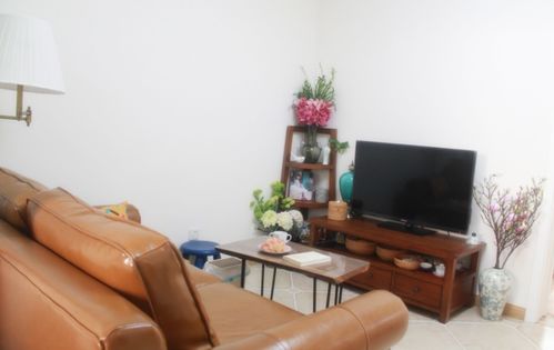 2. 电视柜两侧：对称之美