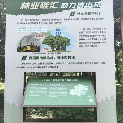 三、救命！这三类人居然能白嫖