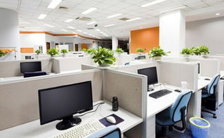 办公室颜色太艳会招鬼？！