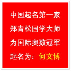 三、 成语命名：一种特别的选择