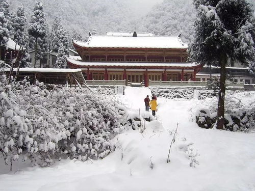 市区耍雪不过瘾？那就往远处跑！