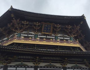 关于无锡唐城门票市场价格的相关信息