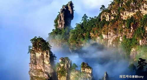 其他隐藏宝藏：从化星溪线徒步路线——2024年的都市逃离计划