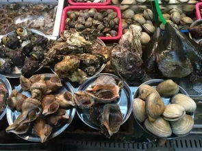 吾屿海景酒店：土豪的智商税