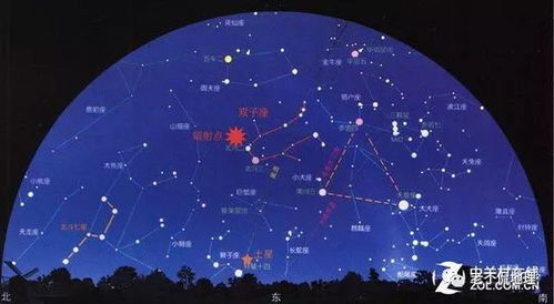 2026年1月1日至7日，玛法达看星星，新年运势如何？