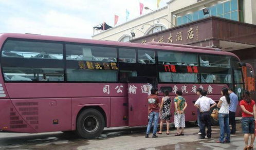 L4 自动驾驶真的会让你睡觉吗？🤔💤