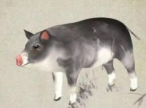 1. 本命年，到底是哪些鬼？