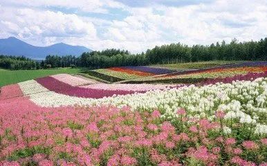 1. 交通运输