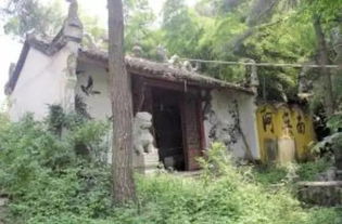 石墙上的苔藓和我的心情