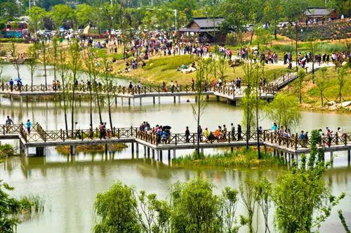 一、 金陵烟雨中的一抹绿意——初遇杨柳村