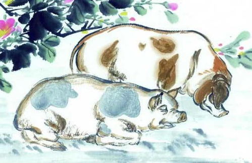 七一年属猪男娶属鸡女，这种组合的婚姻性格脾气是否相配？