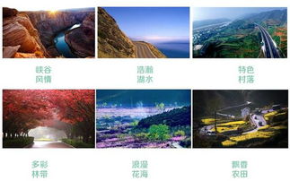 全域旅游的崛起：从碎片到整合