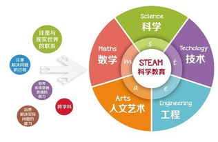 老师的教育观念,老师的教育观念
