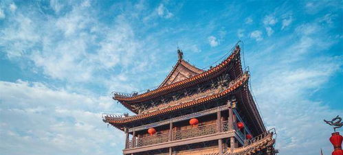 胡同里的秘密：2026年最新发现