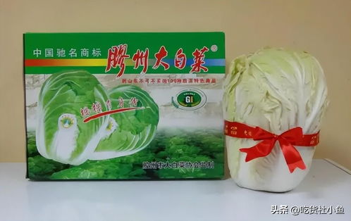 休闲旅行推荐