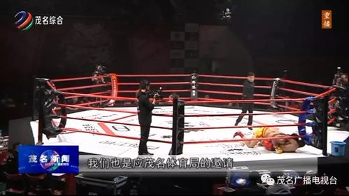 1.1 门厅里的“历史持续发展痕迹”